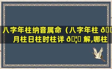 八字年柱纳音属命（八字年柱 🐕 月柱日柱时柱详 🦈 解,哪柱最重要）